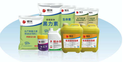 恒興明星產(chǎn)品驚艷2025中國飼料工業(yè)展覽會(huì)，生物飼料研發(fā)引領(lǐng)行業(yè)新風(fēng)向